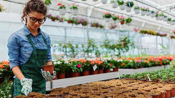 Farmer in greenhouse ponders health insurance needs for her growing business
